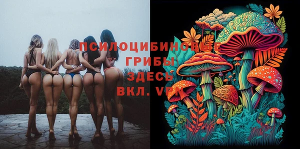 соль курить ск Абаза