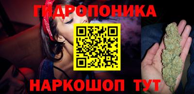 бутират Кингисепп
