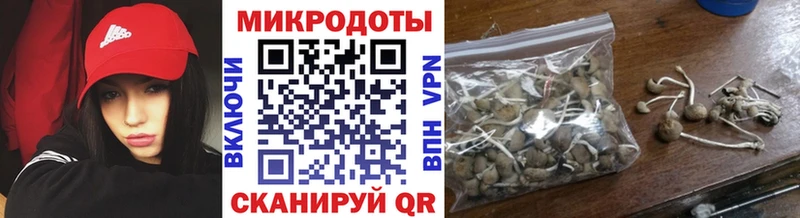 Галлюциногенные грибы GOLDEN TEACHER  Кохма 