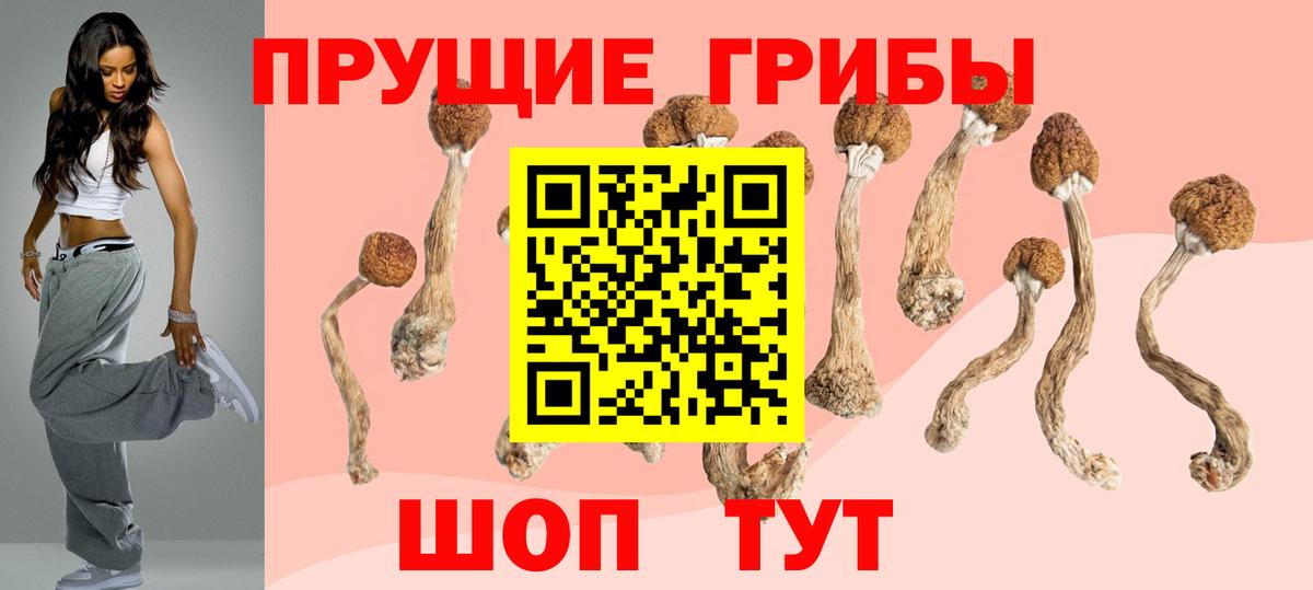 Псилоцибиновые грибы Psilocybe  Вход с VPN  Кохма 