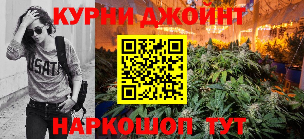 Каннабис гибрид Кохма